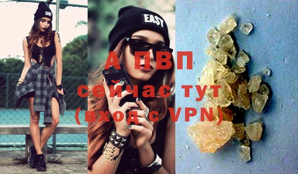 ПСИЛОЦИБИНОВЫЕ ГРИБЫ Беломорск