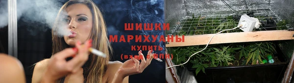 СК Протвино