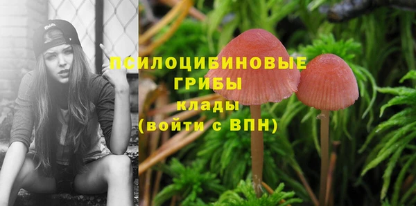 кокаин премиум Белокуриха