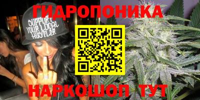 дурь Можайск