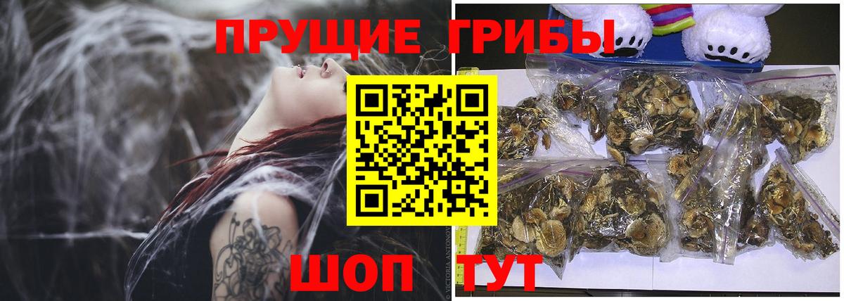 Галлюциногенные грибы прущие грибы  Вход с VPN  Реж  Псилоцибиновые грибы мицелий 